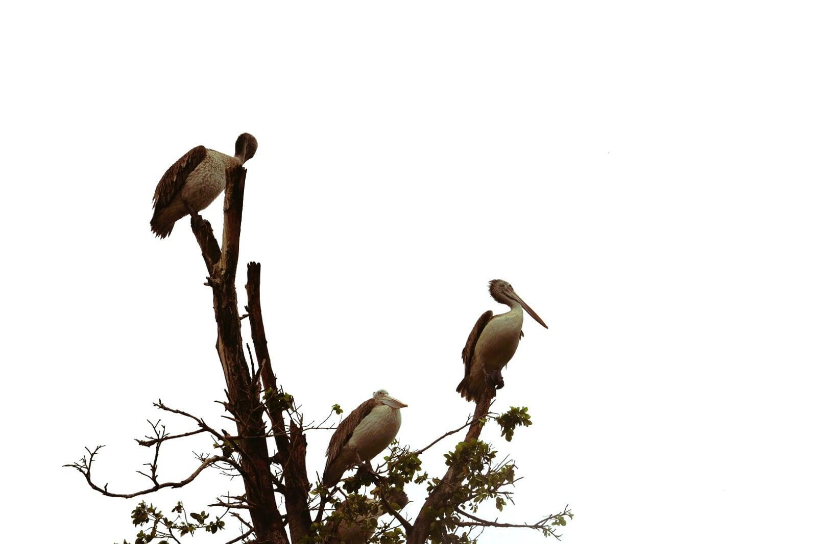 Constantly Evolving ..